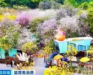 清明跨境人流爆發