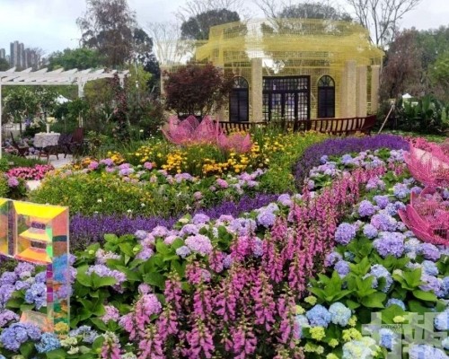 市政署獲粵港澳大灣區花園大賽金獎及最佳特色獎