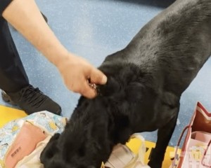 搜出蛋糕當場吃掉