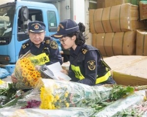 拱北海關綠色通道保時效