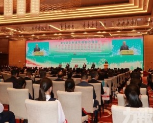 岑浩輝：準確踐行總體國家安全觀