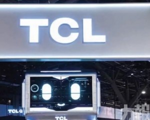 全球化策略推動收入穩步增長