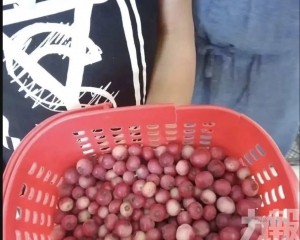 專家：非新品種 勿為顏色埋單