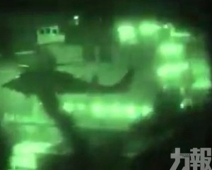 陸戰隊垂降登檢畫面曝光