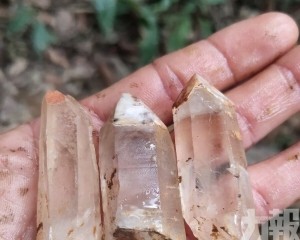 當局叫停並追責