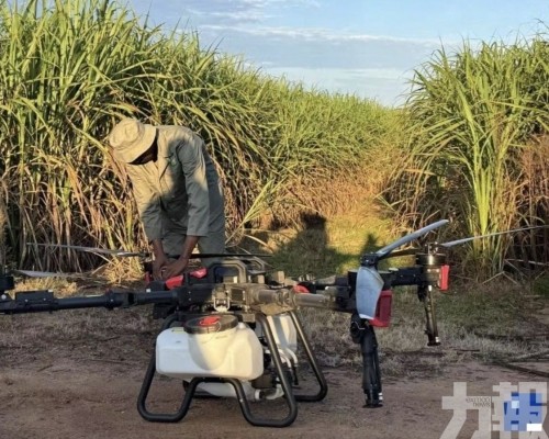 路人遭爆頭身亡