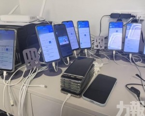 1秒搶到「專家號」