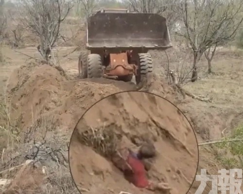 前村支書開鏟車活埋村民被刑拘