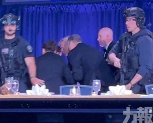 孤狼槍手被捕目標擊殺政府官員