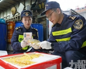 「三聯三同」助力灣區一體化