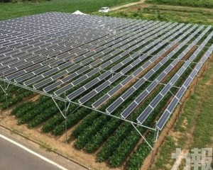 不到2%農地可支撐資料中心用電