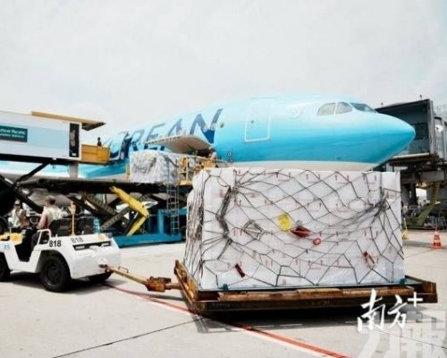 鮮活快線擴展打造大灣區「綠色通道」