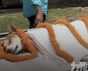 印度村民隆重送別