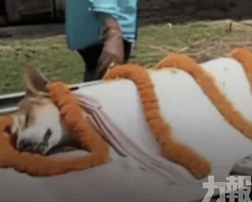 印度村民隆重送別