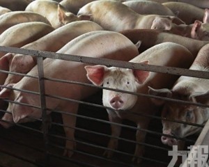 加速剝離非主業回籠資金
