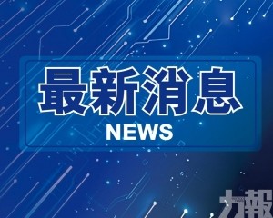 着力完善人資管理及配置