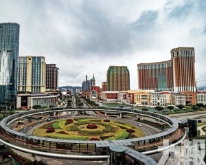 惟貴賓業務波動加劇市場憂慮