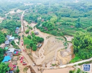 重慶十戶聯防隊長遇難