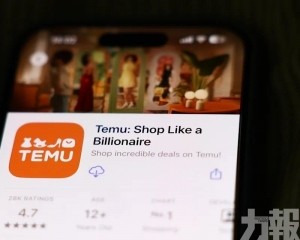 Temu撐起收入增長 押注自營品牌