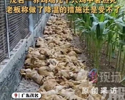 福建有民眾要求政府「調天氣」遭拒
