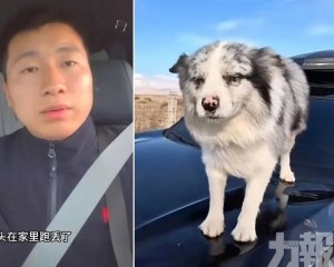 主人崩潰拒和解