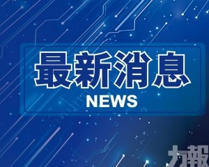 停職法辦