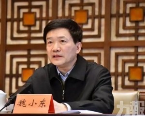 涉嚴重違紀違法受查