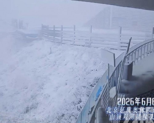 延慶驚現「六月飛雪」