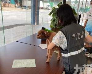今日起免合資格犬貓強制隔離