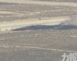 機上八人全部罹難