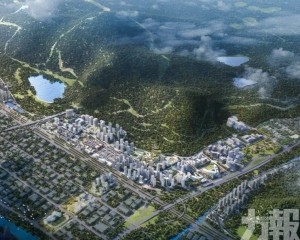 東橋村留用地收儲獲通過