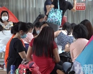 打工兼搞副業家鄉買兩塊地