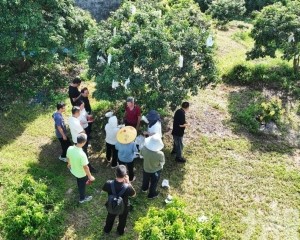 獲香港認證助攻灣區市場