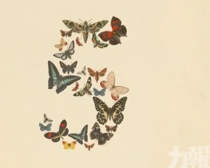美放行Claude Mythos 5有限使用