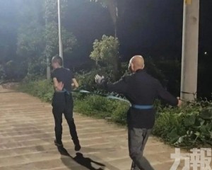 腦梗癱瘓父親一年後恢復自理