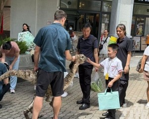 澳門國際兒童藝術節快閃活動
