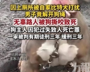 路人遭咬死狗主判緩刑