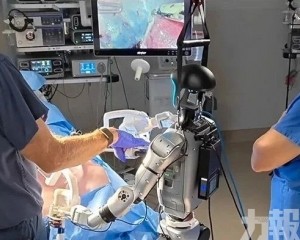 宇樹G1完成活體豬隻膽囊切除