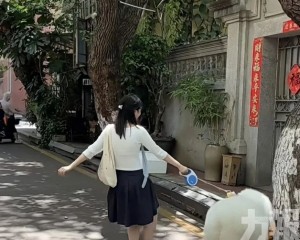 每小時最低5元付費遛狗