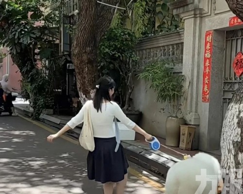 每小時最低5元付費遛狗