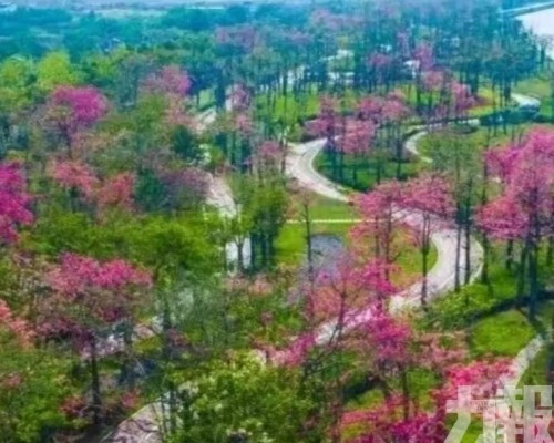 6公里路線串聯七處景觀