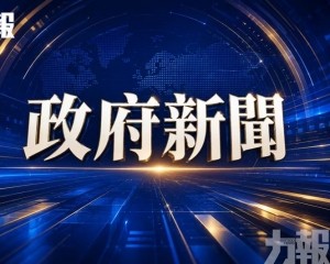 包括養老保障機制和康復服務