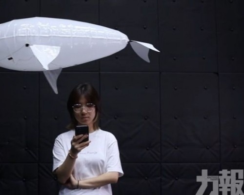 柔軟無聲可與人共處