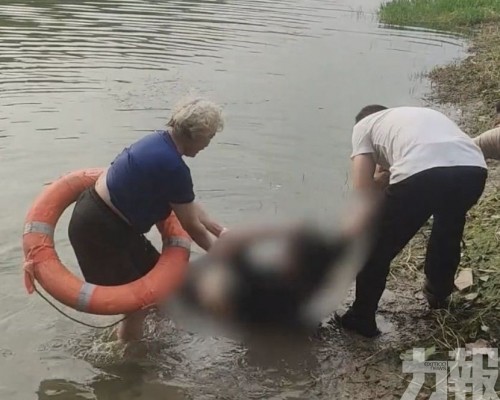 警方發片尋人表揚