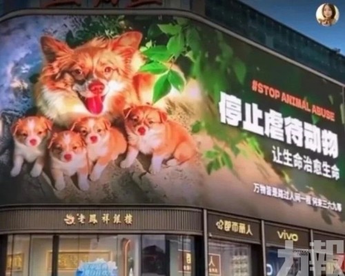 抵制行動掀連坐爭議
