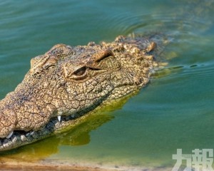 擬部署監獄周邊防越獄