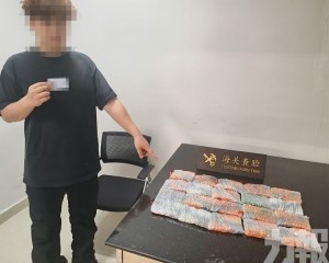 港珠澳大橋海關查獲