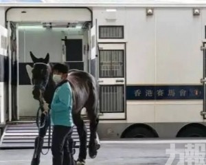 「馬臉識別」將跨境通關縮短至4.5小時