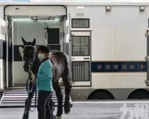「馬臉識別」將跨境通關縮短至4.5小時