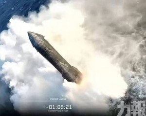 目標價維持300美元